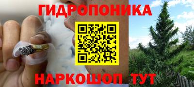 винт Партизанск