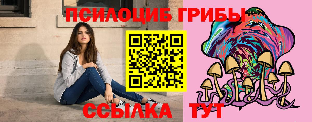 Галлюциногенные грибы Psilocybine cubensis Северск