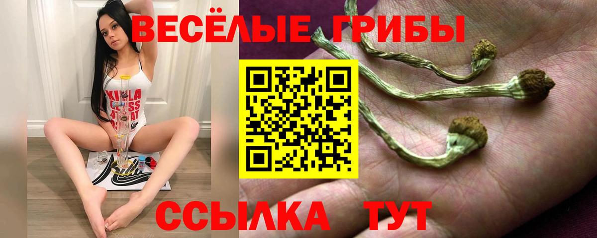 Псилоцибиновые грибы мухоморы  Вход с VPN  Северск 