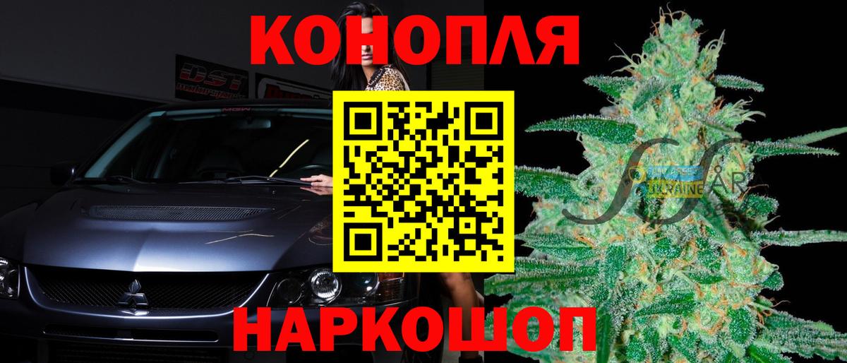 МАРИХУАНА план Северск